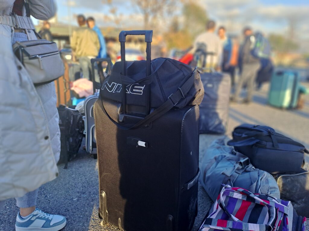 - Between EU praise and mass emigration: What remains of democracy?